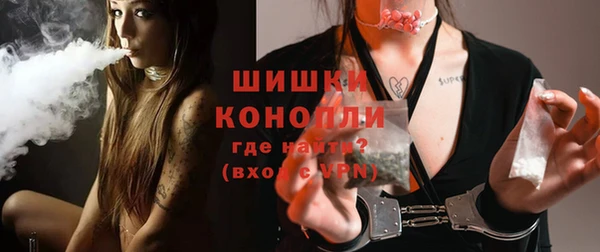 молекула духа Гусев