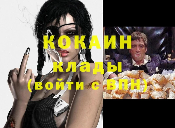 apvp Дмитровск