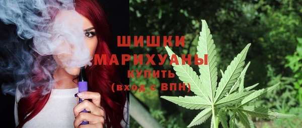 бошки Дмитриев