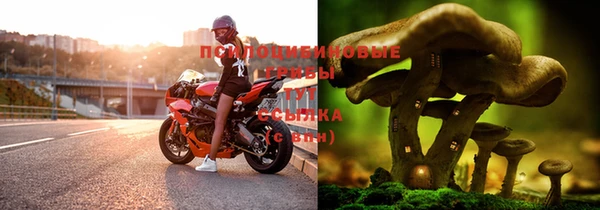 молекула духа Гусев