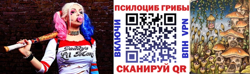Галлюциногенные грибы ЛСД  Купить закладки  Борзя 